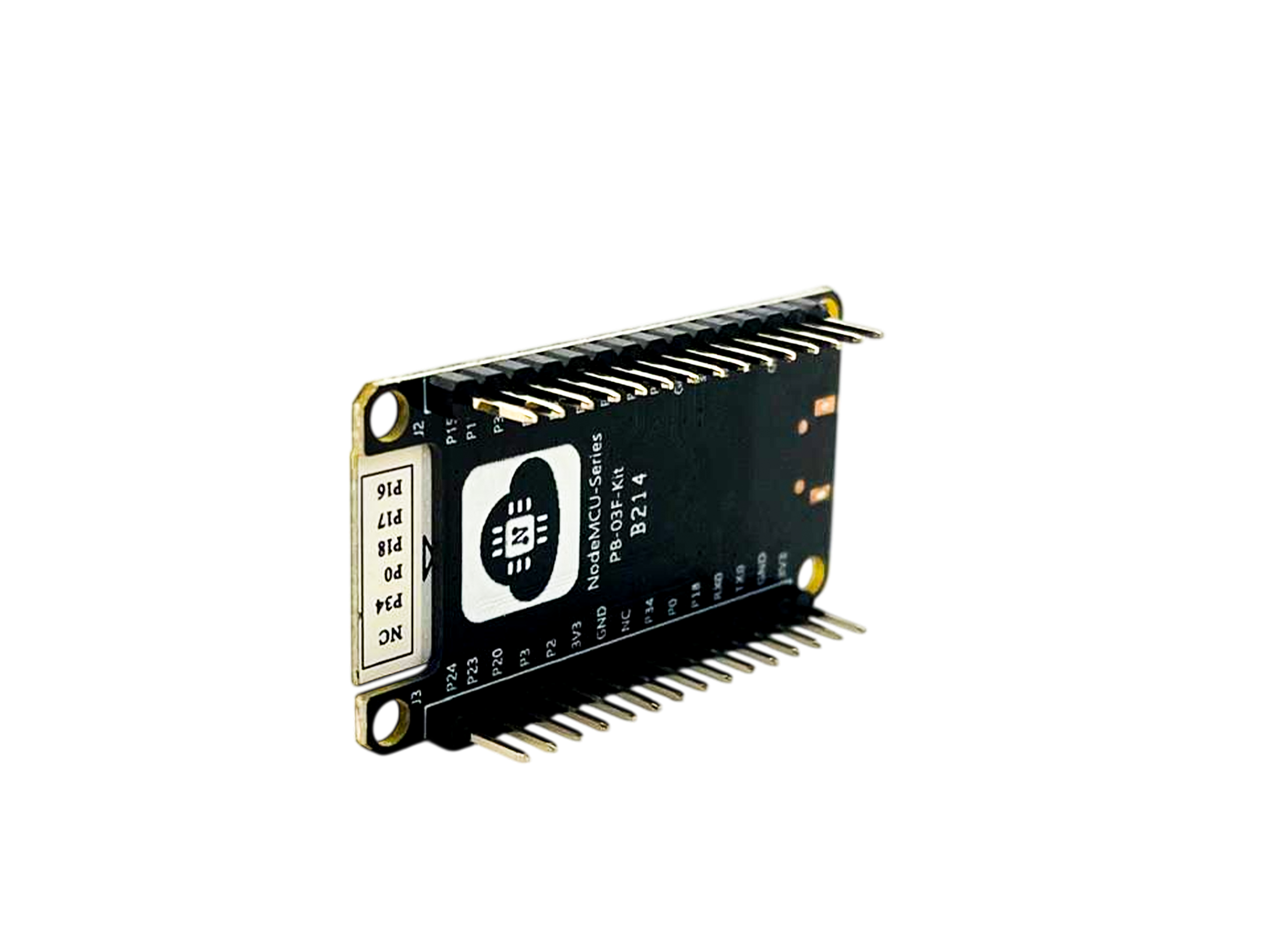 RAKSTORE PB-03F-KIT CARTE DE DÉVELOPPEMENT BLUETOOTH BLE 5.2